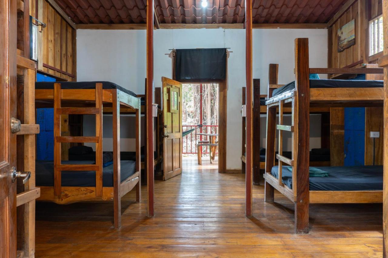 Hotel Burnt Toast Surfcamp Nosara Exterior foto
